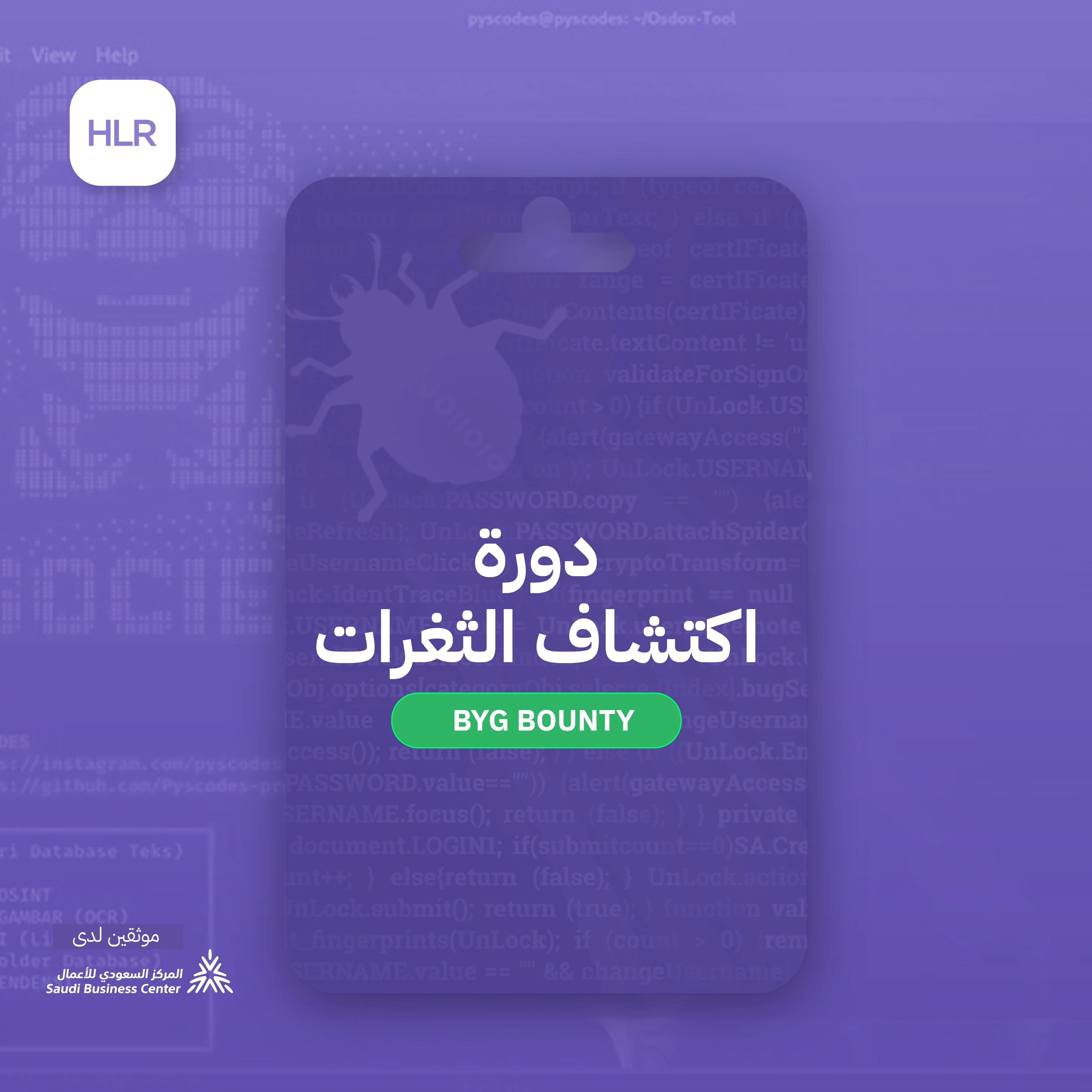 دورة اكتشاف الثغرات